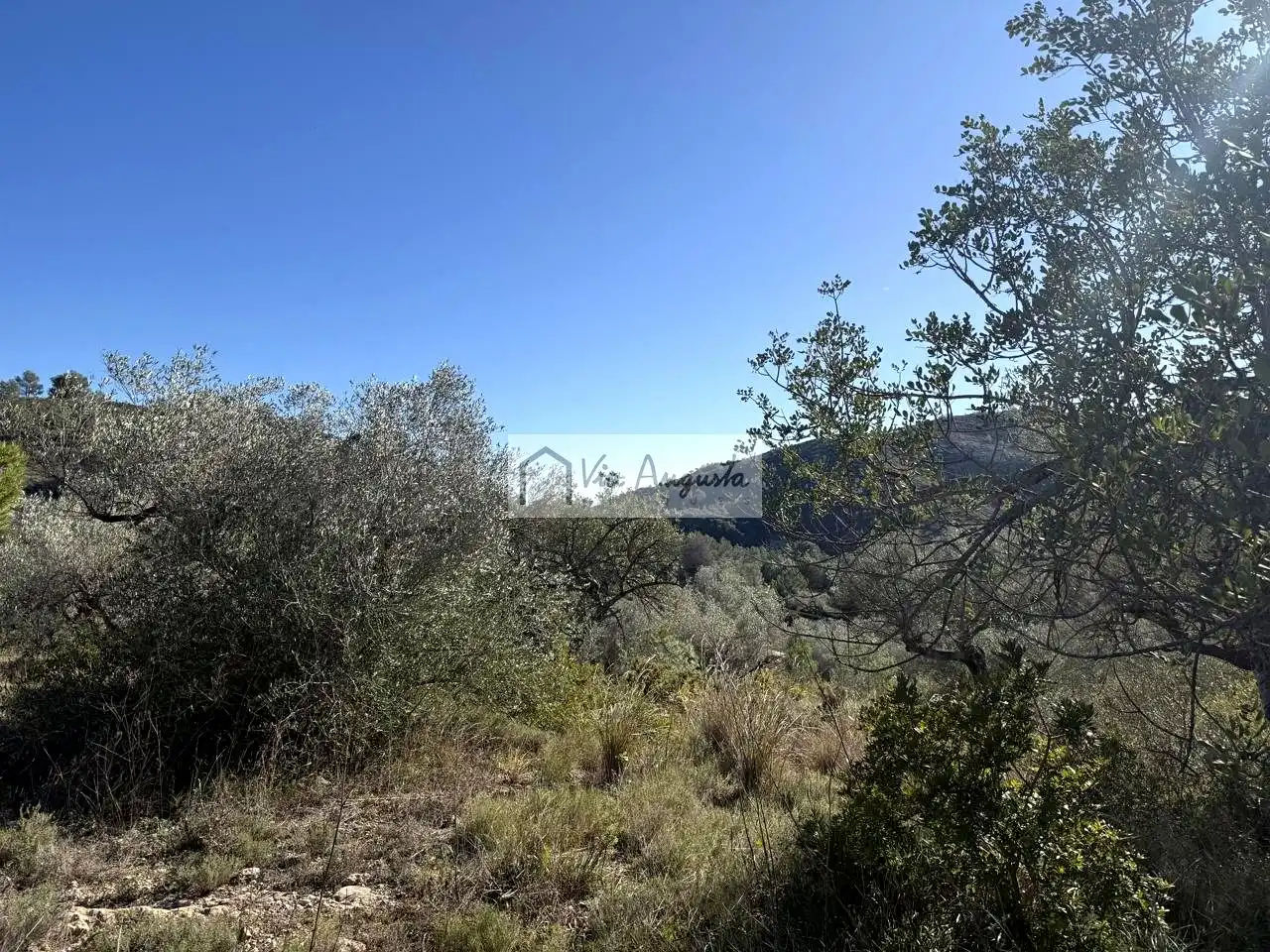 Terreno rustico in vendita a Bassa d'en Baró, imagen 12