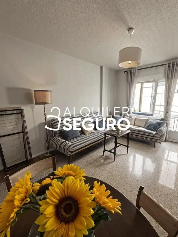 Sala de estar de Piso de alquiler en Granada con Terraza y Amueblado