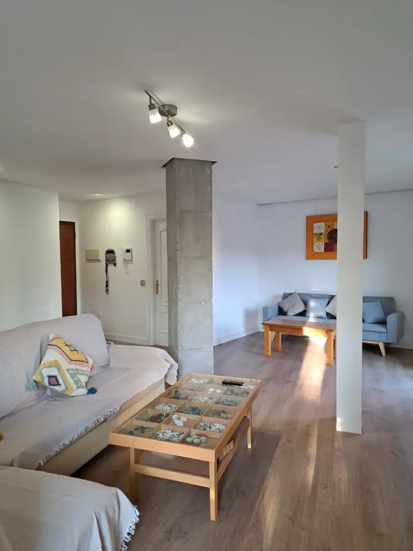 Living room of Flat for rent in Algeciras  with Air Conditioner, Furnished and Pets allowed