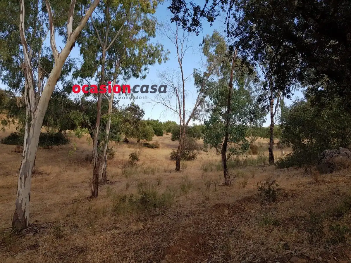 Finca rústica en venta en Espiel con Piscina y Amueblado