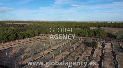 Foto 2 de Terreno en venta en Ensanche - Franciscanos, Albacete