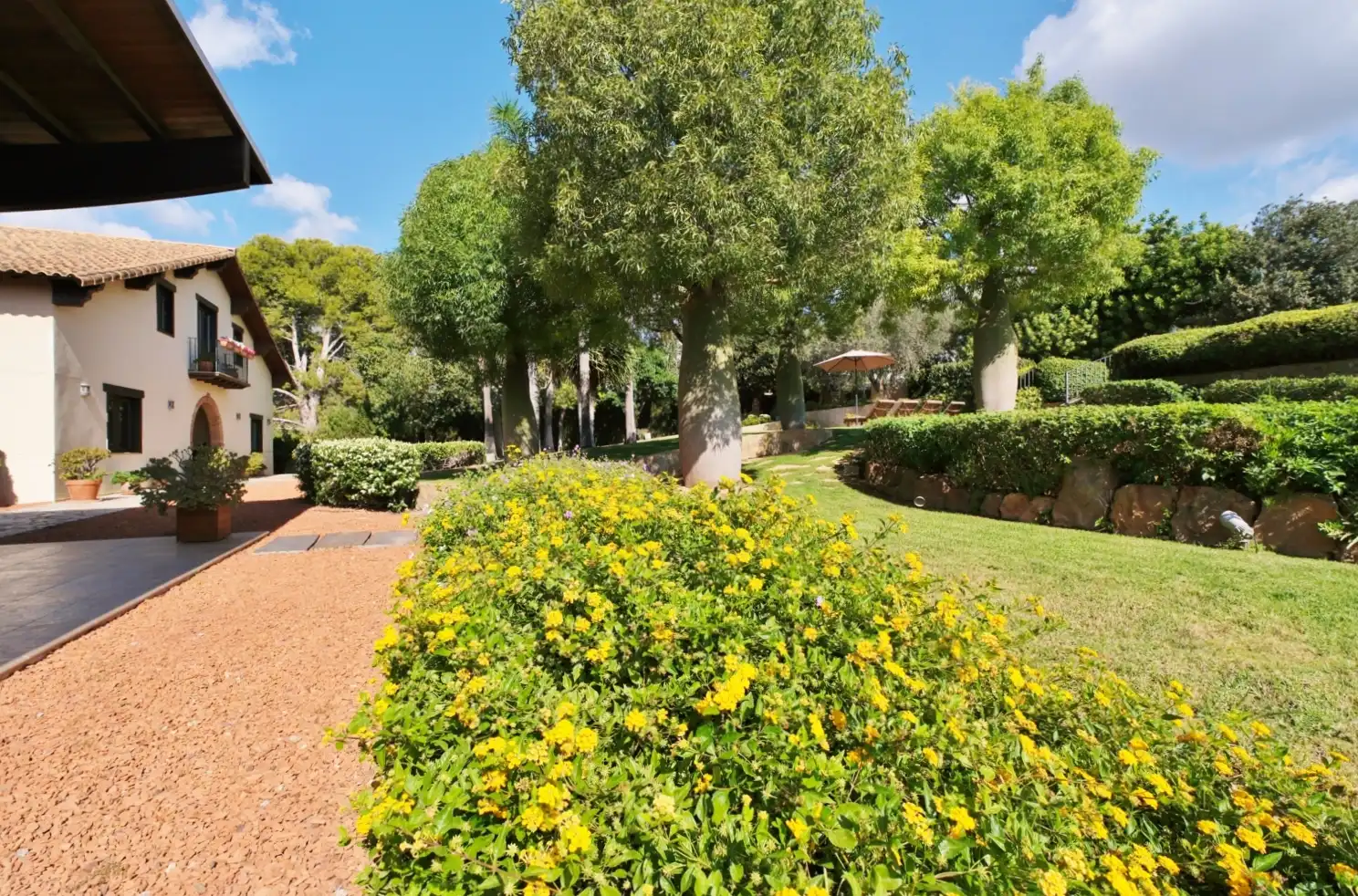 Jardín de Casa o chalet en venta en Puçol con Aire acondicionado, Calefacción y Jardín privado
