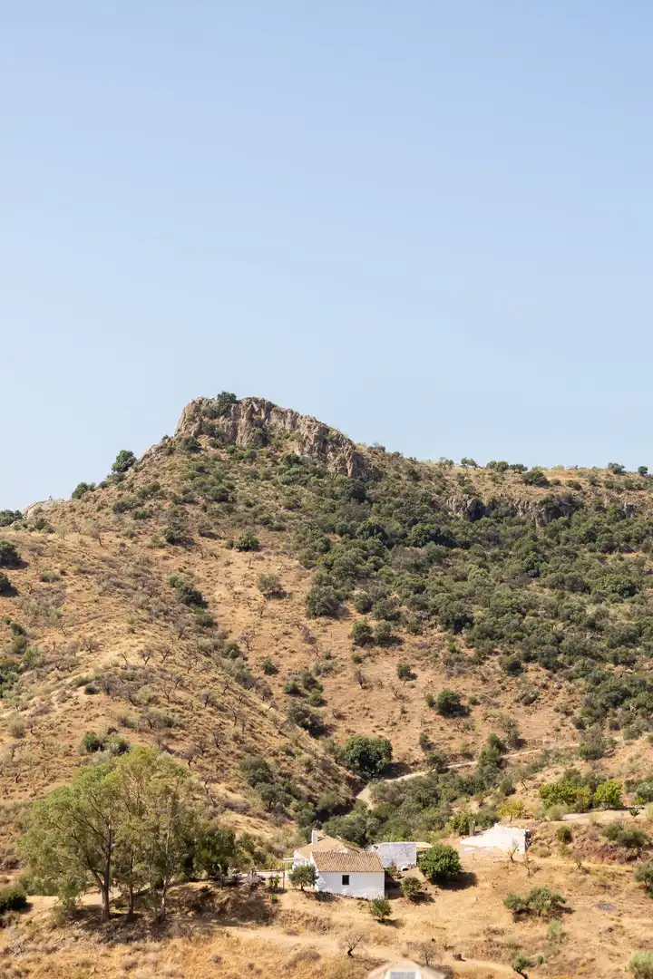 Finca rústica en venta en Almogía