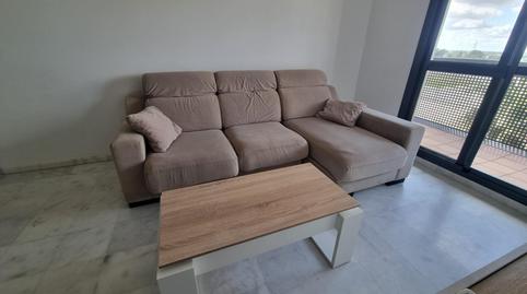 Photo 5 of Flat to rent in Avenida Felipe Gonzalez Marquez, Entrenúcleos, Dos Hermanas