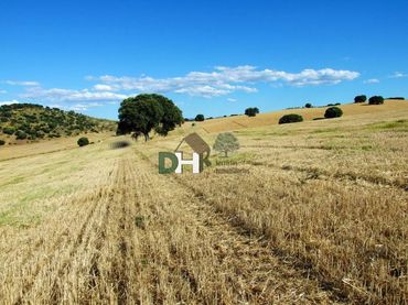 Terreni e lotti in vendita a Los Cigarrales - La Bastida
