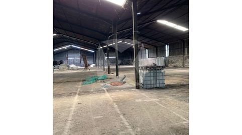 Foto 5 von Fabrikhallen zur Miete in Olivenza, Olivenza, Badajoz