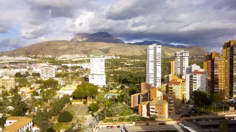 Imagen 2 del anuncio