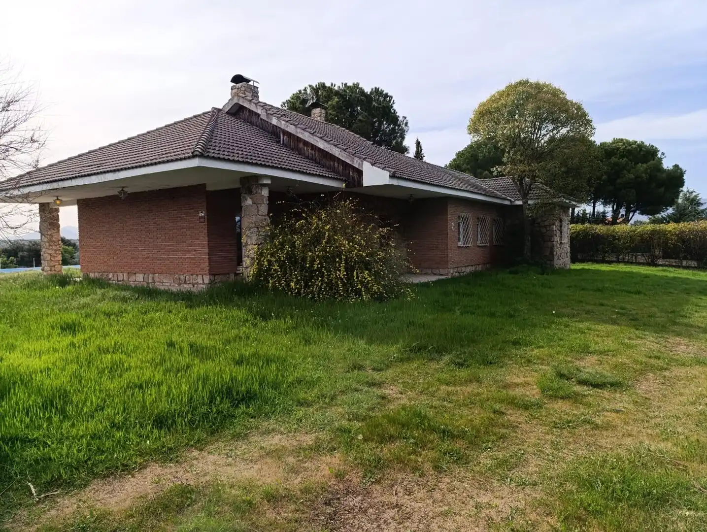 Vista exterior de Casa o chalet en venta en Pedrezuela con Calefacción, Jardín privado y Terraza