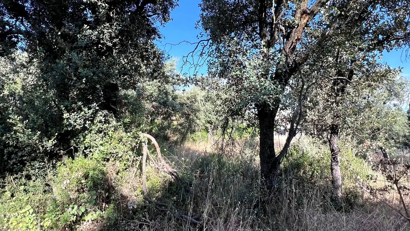 Terreni e lotti in vendita a Quintanar, imagen 6