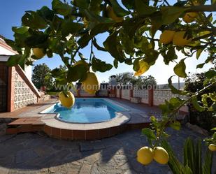 Swimming pool of House or chalet for sale in Arriate  with Terrace and Swimming Pool