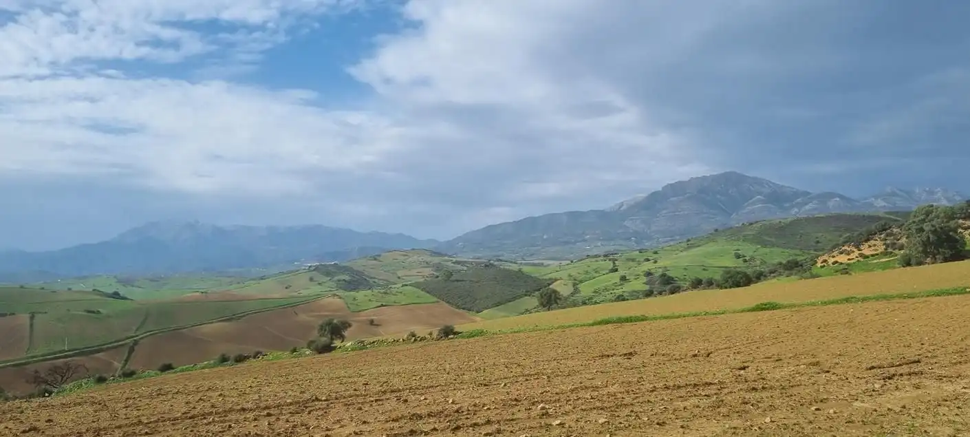 Vista exterior de Casa o chalet en venta en Casarabonela con Jardín privado, Terraza y Trastero