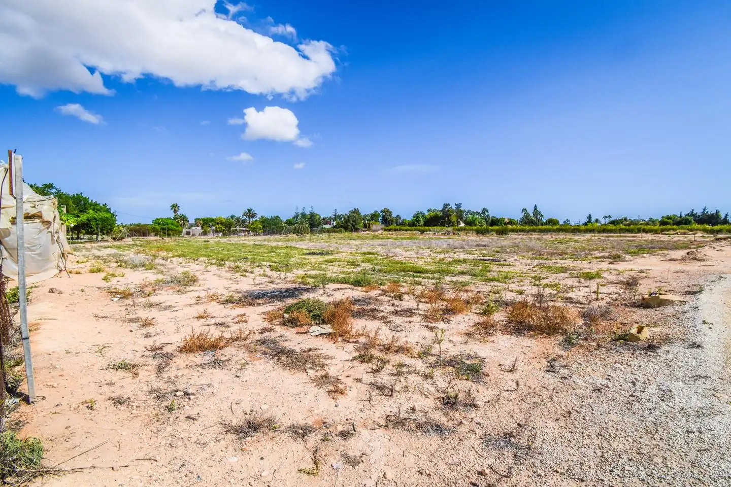 Terrain rustique à vendre à Elx - Santa Pola, imagen 5
