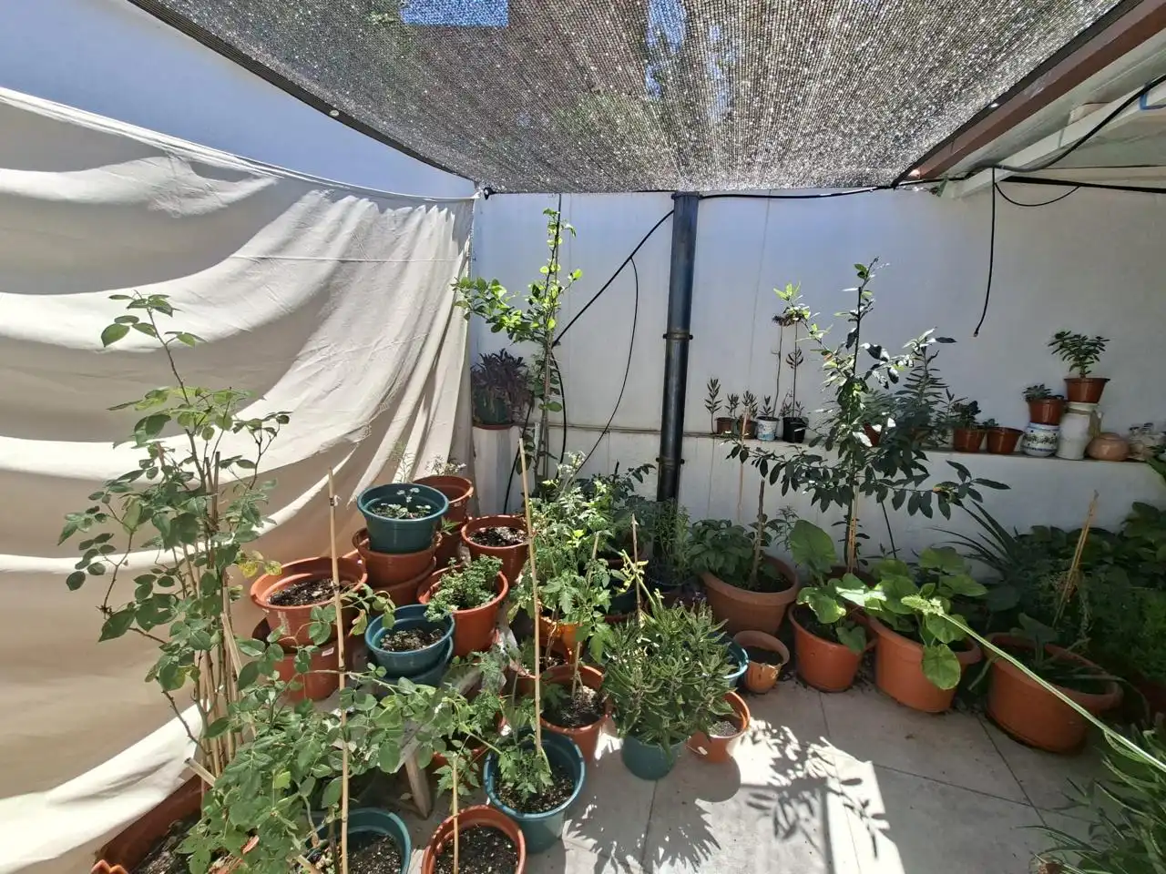Jardín de Casa o chalet en venta en Madrid con Calefacción y Amueblado