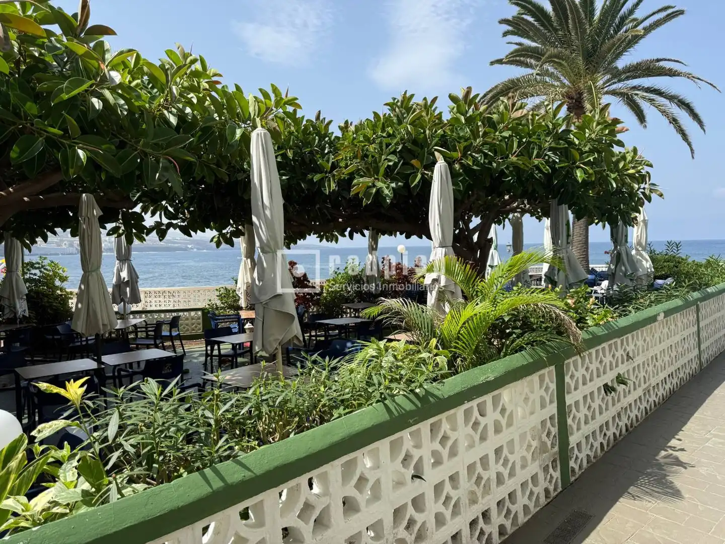 Local en venta en Punta del Hidalgo