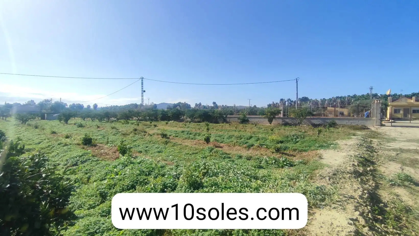 Terreno rustico in vendita a Jacarilla, imagen 3