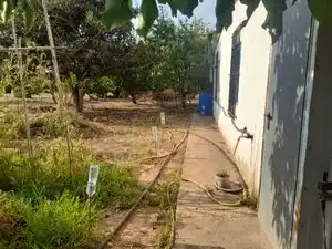 Land for sale in La Masó