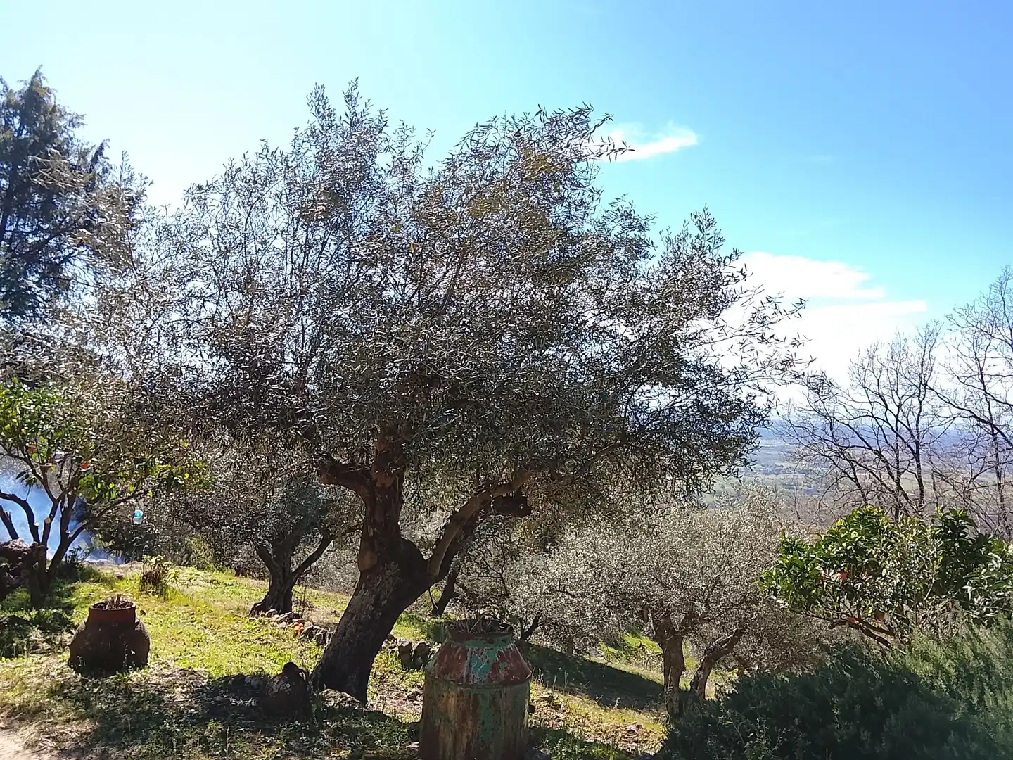Terreni e lotti in vendita a Candeleda, imagen 40