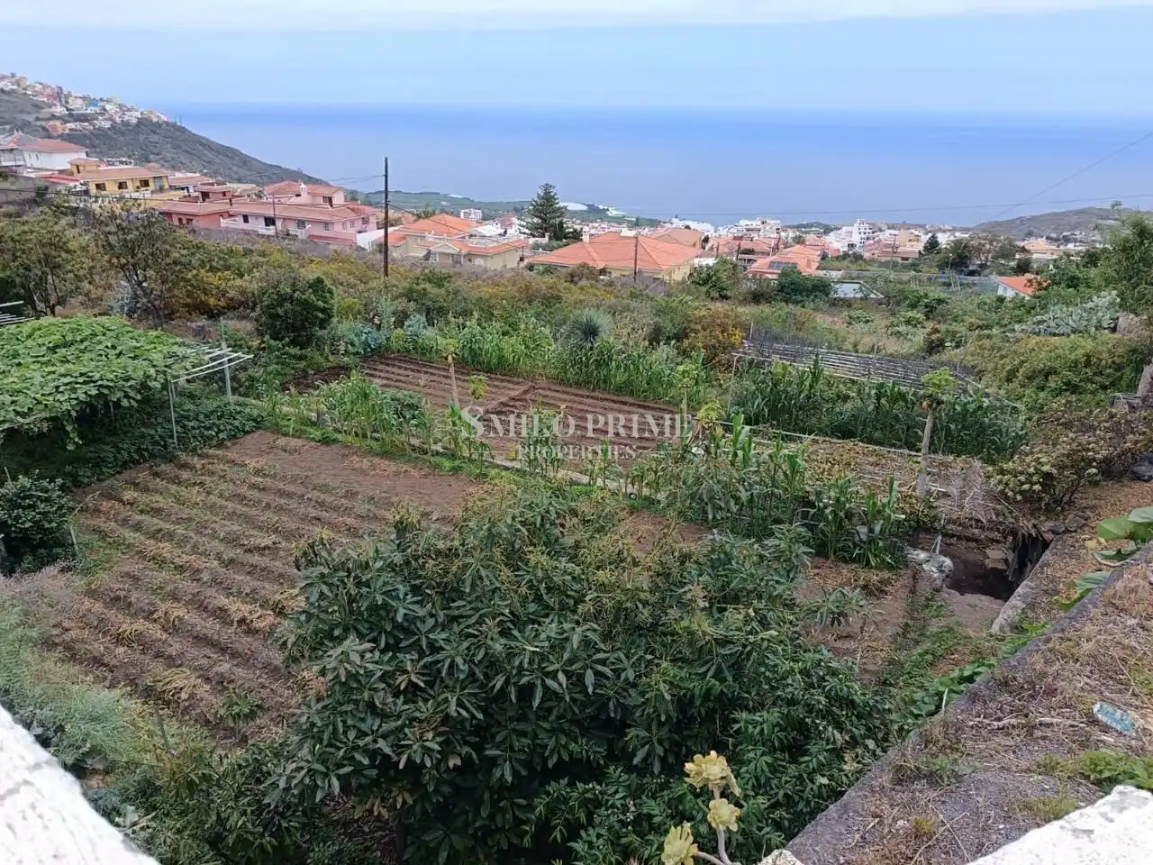Finca rústica en venda en Icod de los Vinos amb Jardí privat i Terrassa