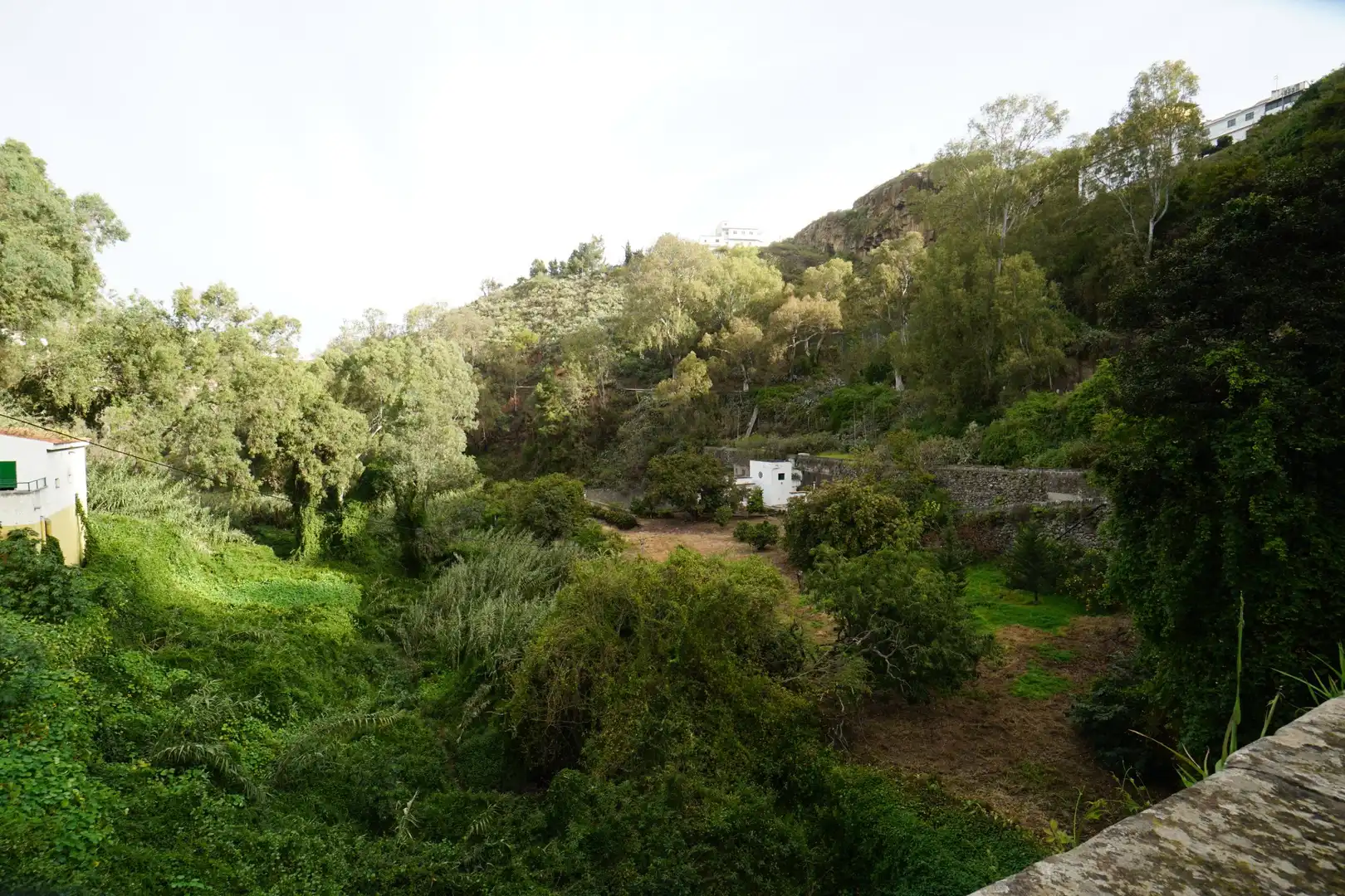 Jardí de Finca rústica en venda en Teror amb Jardí privat i Terrassa