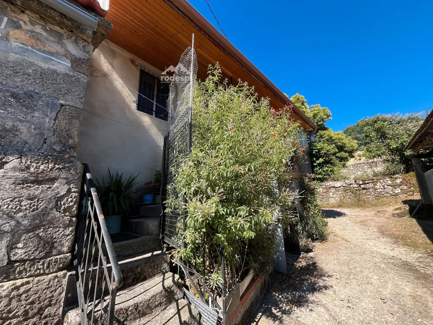 Vista exterior de Casa o chalet en venta en Piñor con Trastero y Amueblado