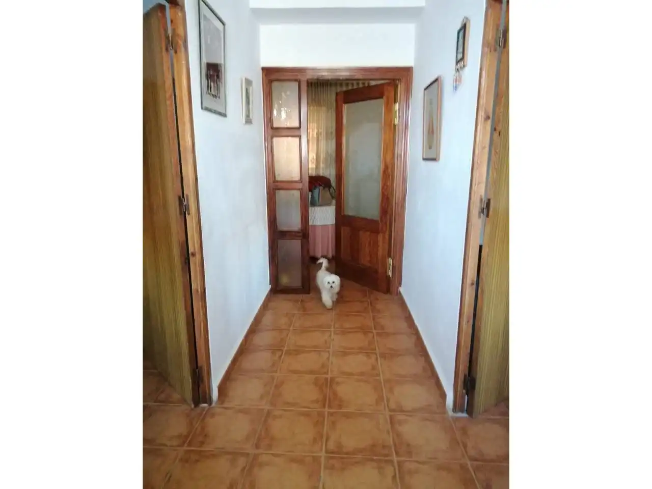 Maison à vendre à Chirivel, imagen 8
