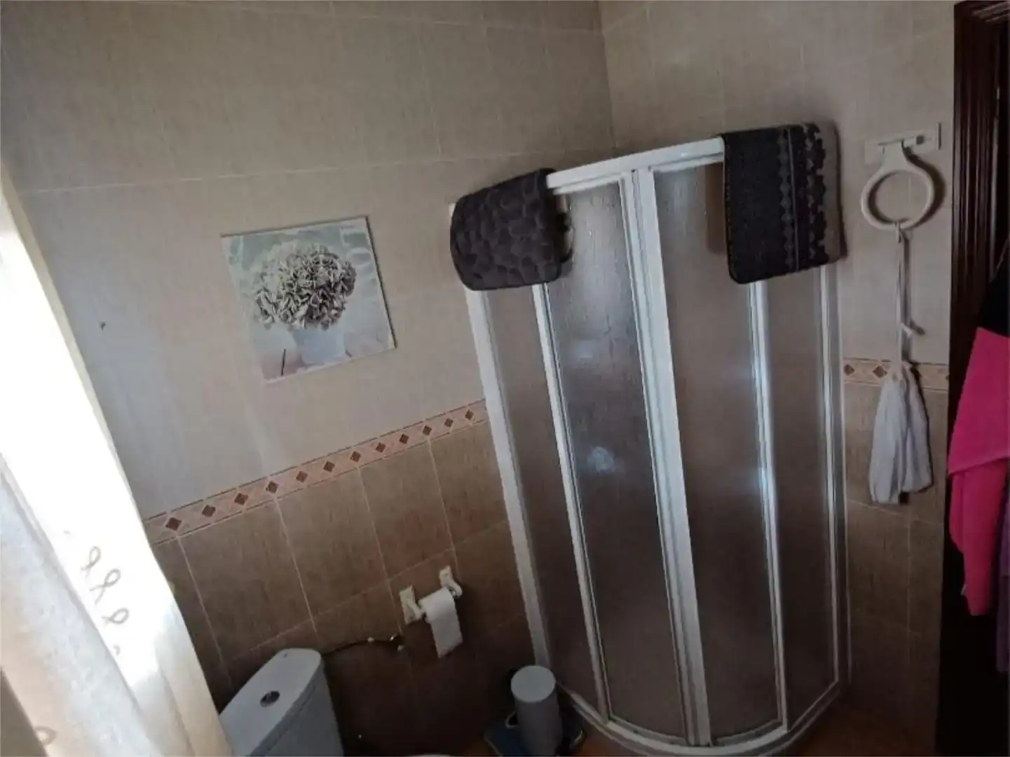 Baño de Casa o chalet en venta en Almendralejo, Badajoz