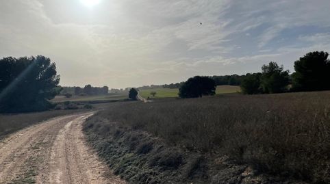 Foto 3 de Residencial en venta en La Milagrosa, Albacete Capital