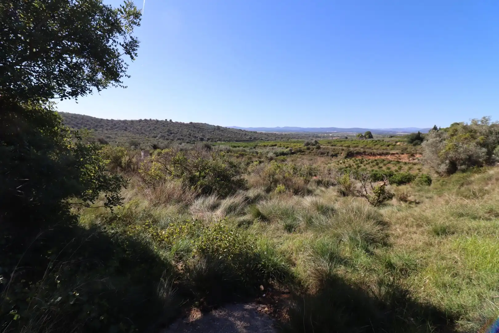 Grundstücke zum Verkauf in Ulldecona