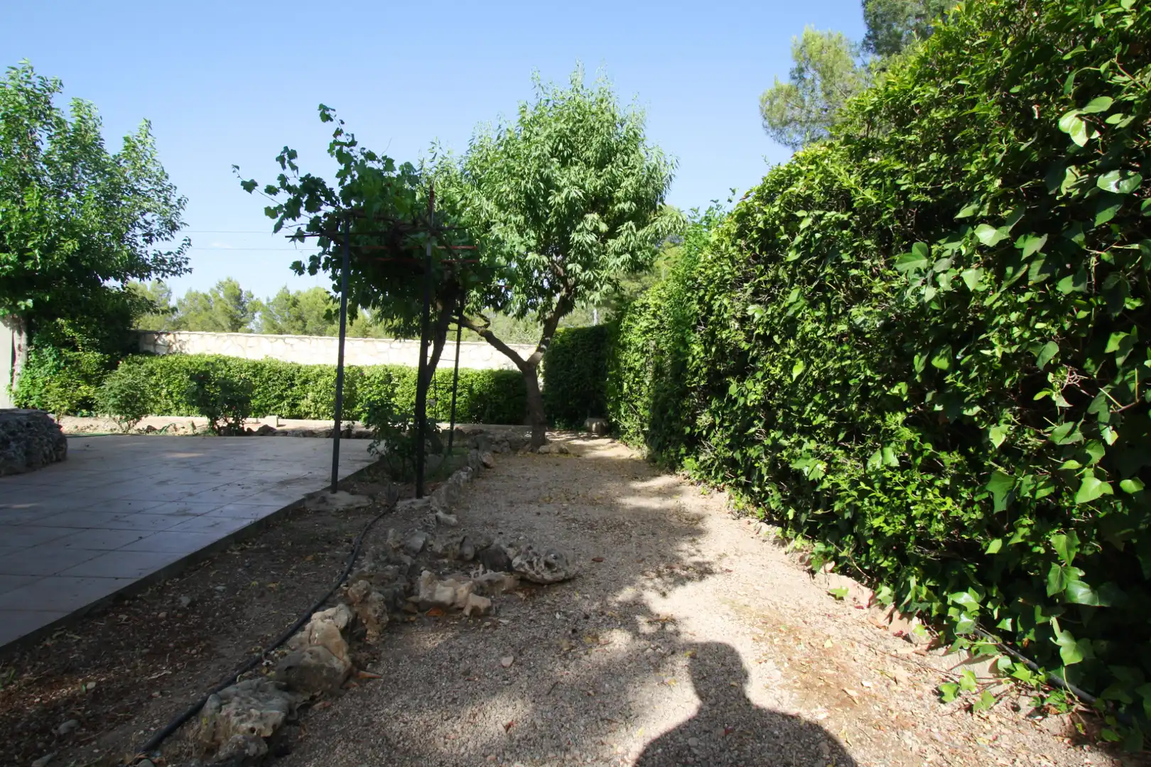 Jardí de Casa o xalet en venda en Albacete amb Aire condicionat, Jardí privat i Terrassa