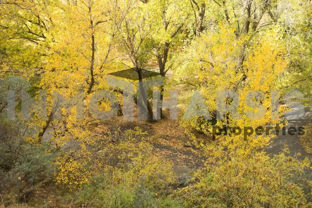 Vista exterior de Casa o xalet en venda en Abrucena amb Jardí privat, Terrassa i Moblat