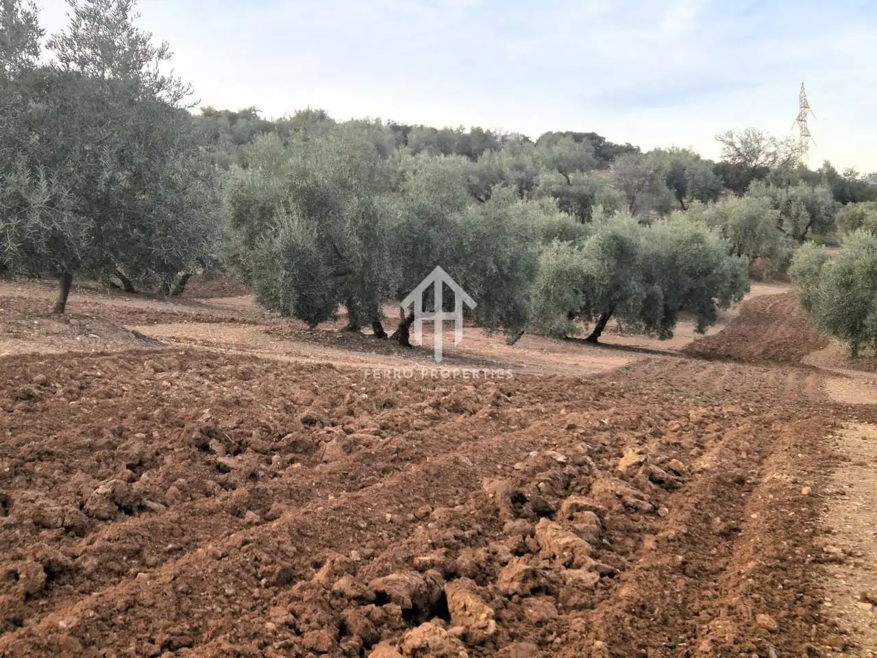 Terreny rústic en venda a Poligono ventorros de laguna 1, imagen 7