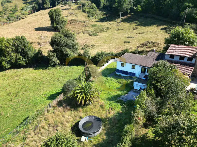 Villa mit Garten zum Verkauf in Peón - Arroes, imagen 52