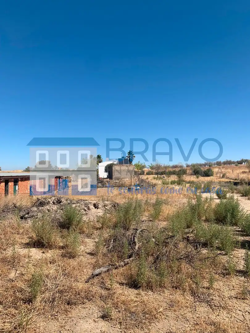Chalet en venta en La Haba, imagen 22