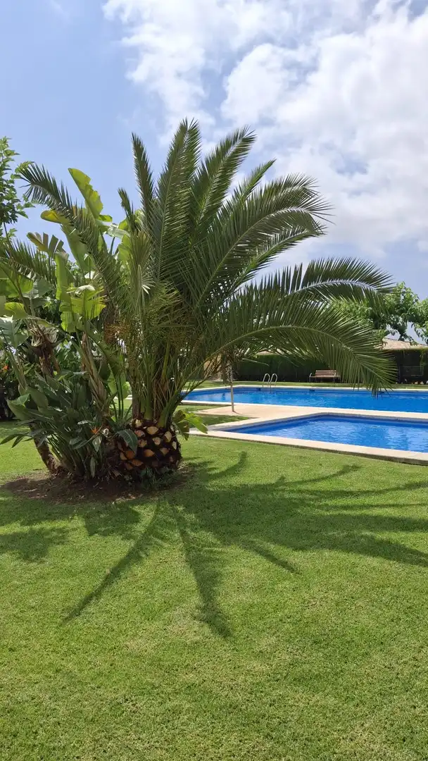 Casa o chalet en venta en Coloma