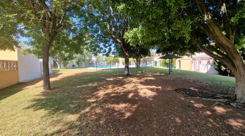 Foto 3 de Casa adosada en venta en Villanueva del Ariscal, Sevilla