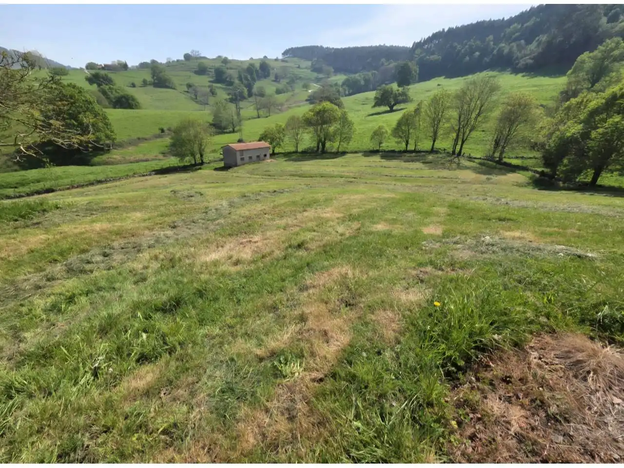 Terrain rustique à vendre à Calle argomeda, imagen 6