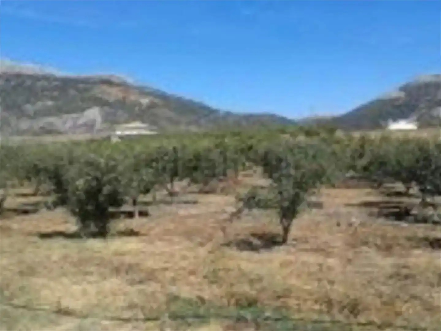 Land for sale in Alfarnate