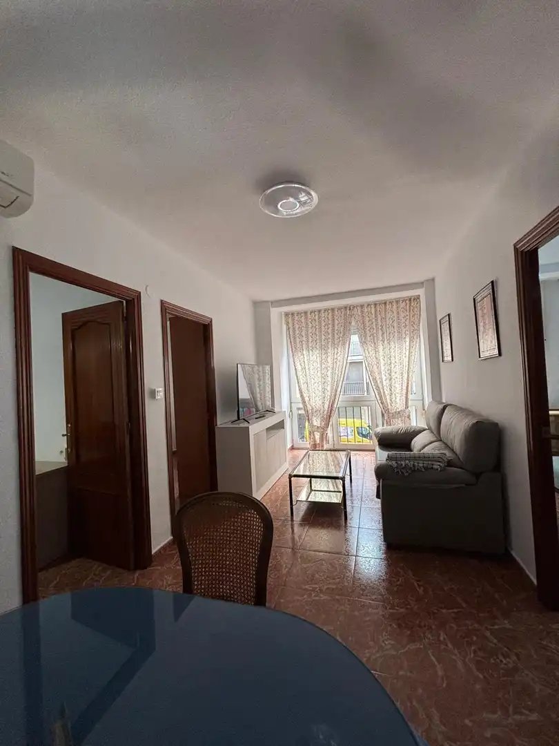 Sala de estar de Piso de alquiler en Granada con Aire acondicionado y Amueblado