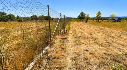 Terreno rústico en venta en Cabanes  3.901 m de naturaleza y tranquilidad, imatge 5