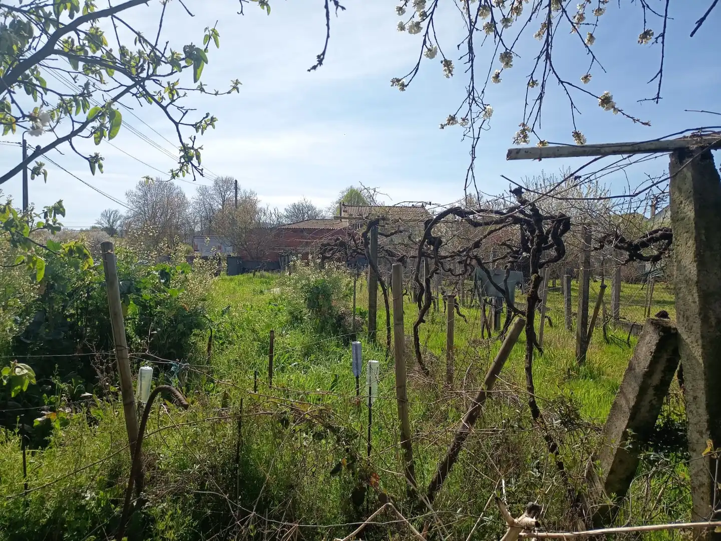 House with garden for sale in Monforte de Lemos, imagen 2