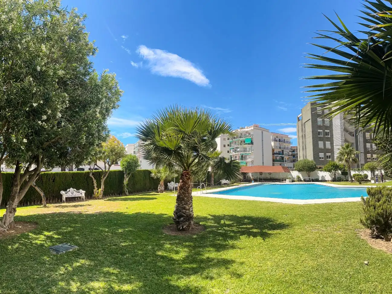 Penthouse with pool for sale in avenida terramar alto 9, imagen 33
