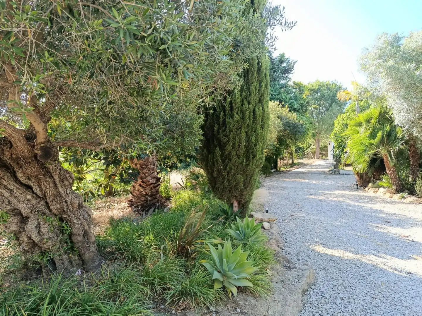 Casa rústica amb piscina en venda a San Martín del Tesorillo, imagen 56