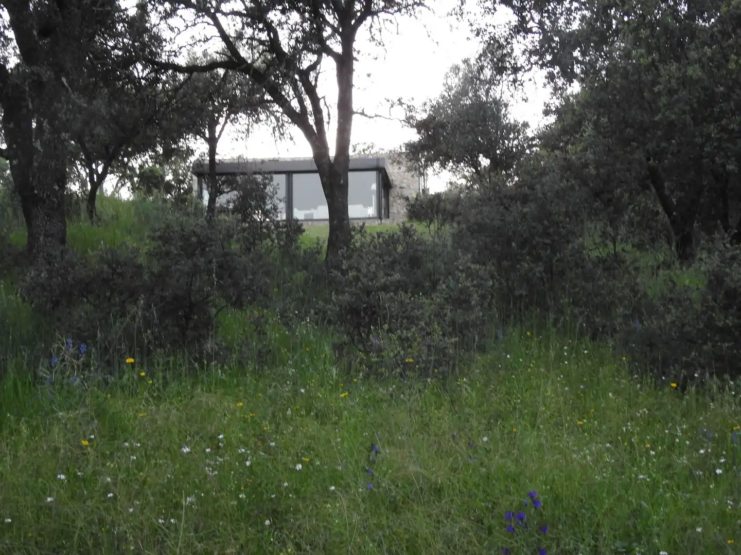 Land for sale in Cervera de los Montes