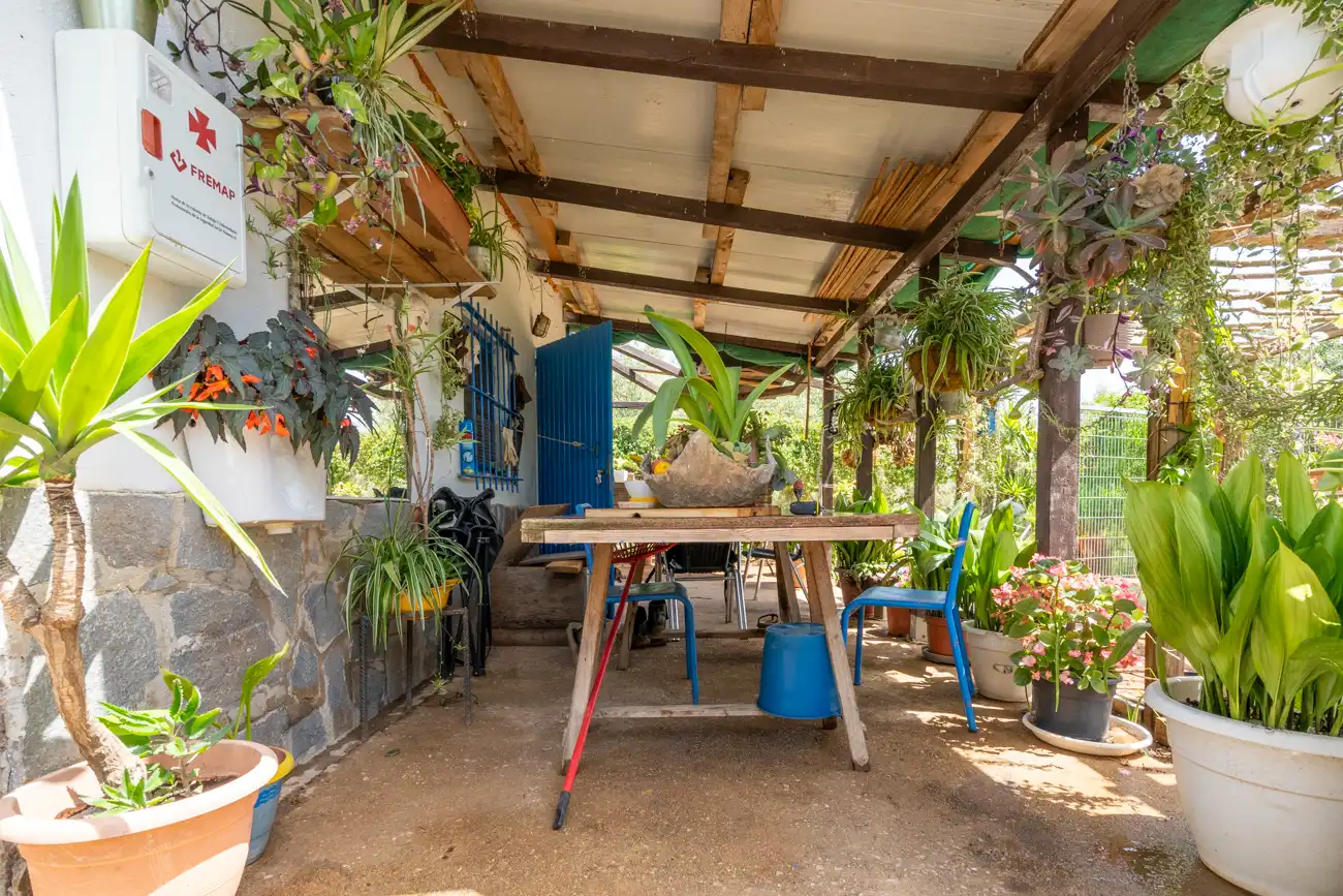 Terreny rústic en venda a Camí Miliana 1, imagen 15