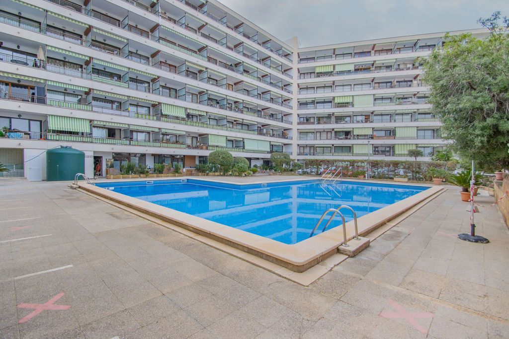 Piscina de Pis en venda en Calvià amb Piscina comunitària