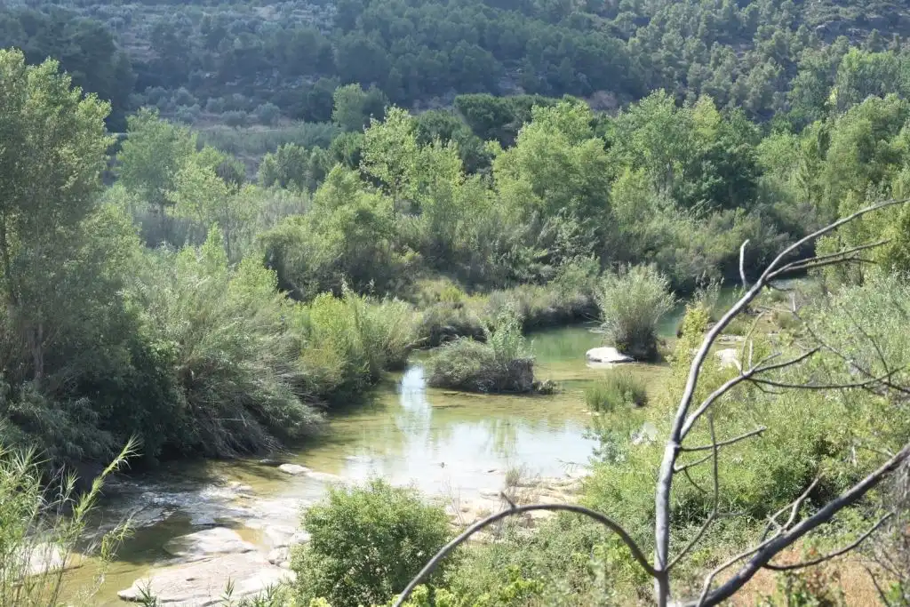 Terreni e lotti in vendita a Mazaleón