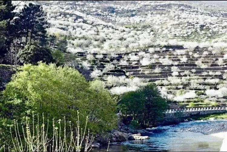 Vista exterior de Casa o xalet en venda en Navaconcejo amb Aire condicionat, Calefacció i Forn