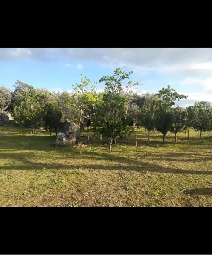 Finca rústica en venta en Villar del Rey