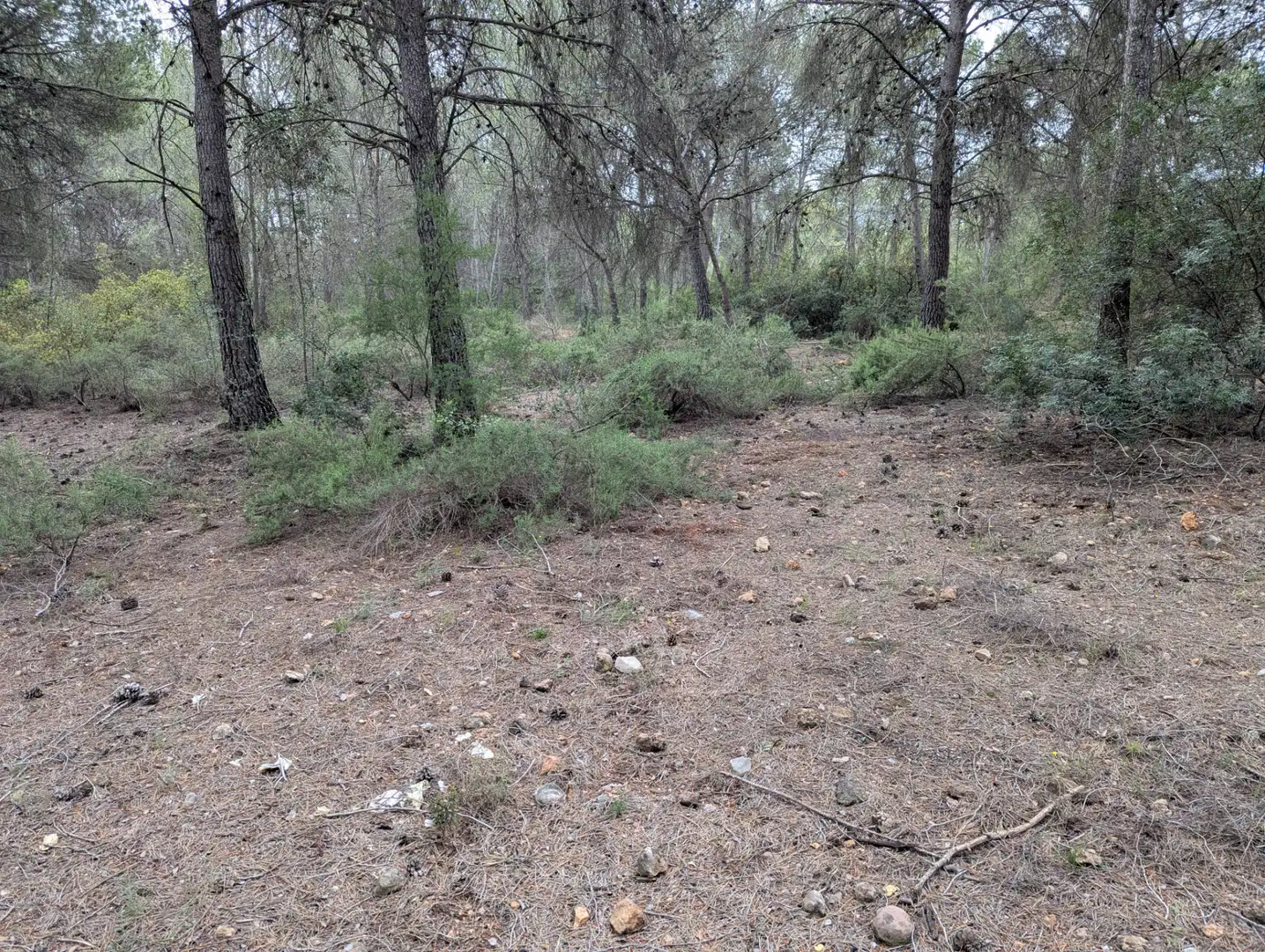 Terreno rustico in vendita a Camino 2 39, imagen 3