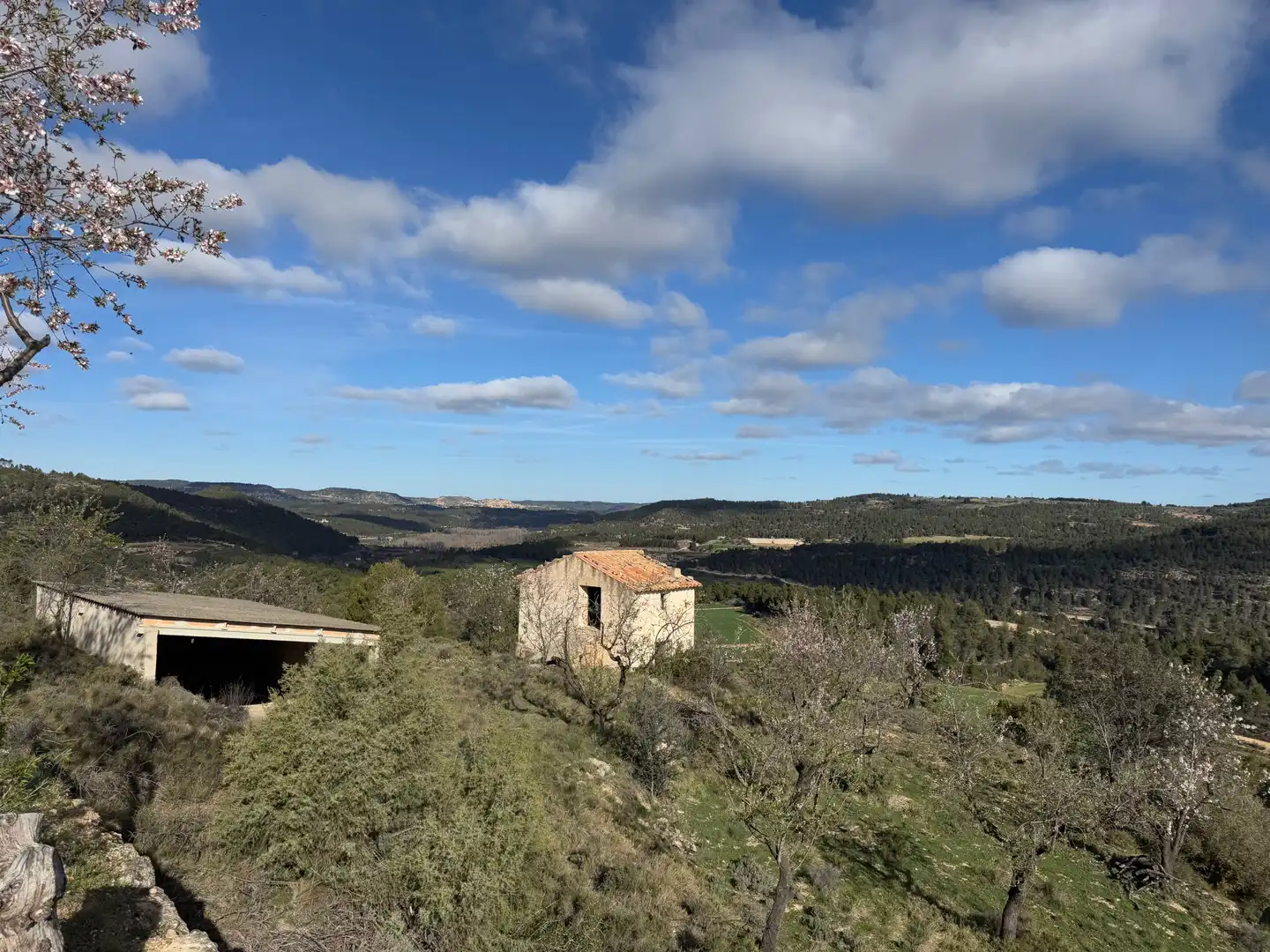 Terreni e lotti in vendita a Valderrobres, imagen 2
